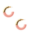 DOUBLE DIPPED HOOP