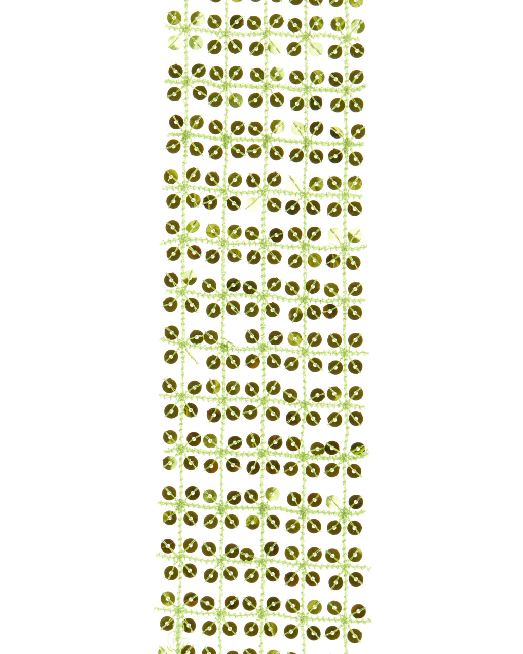 BOUND TO FLIRT SCARF