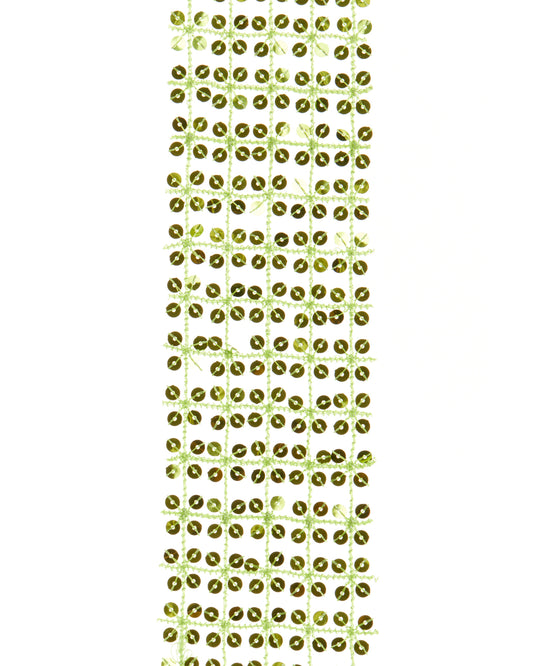 BOUND TO FLIRT SCARF