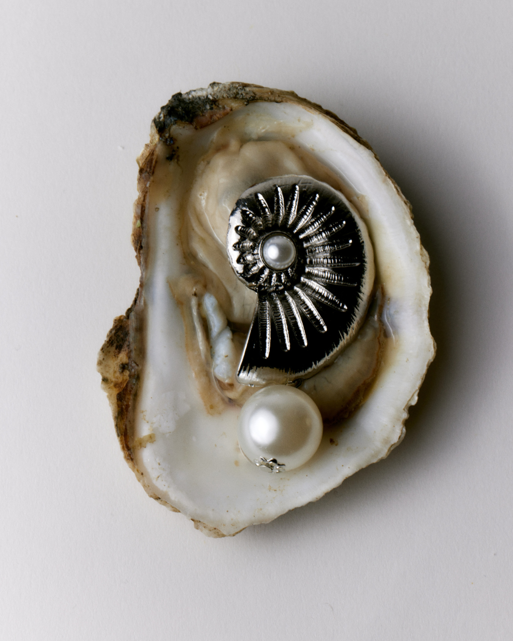 STATEMENT SHELL EARRING
