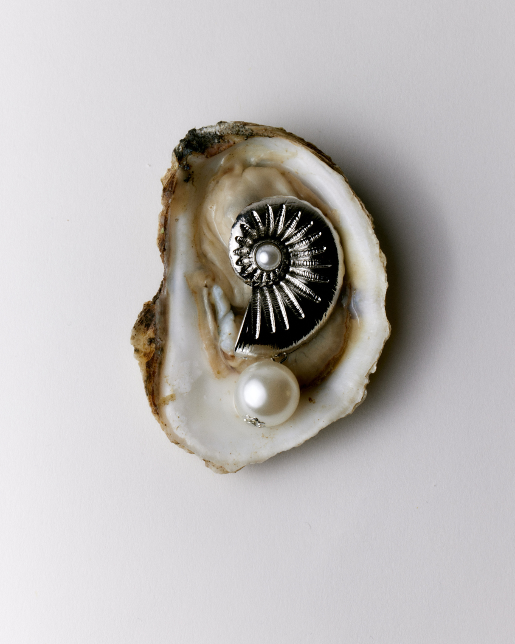 STATEMENT SHELL EARRING