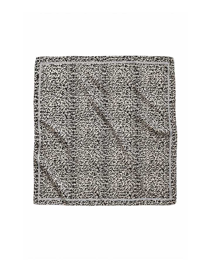Feline leopard print scarf with a solid black border