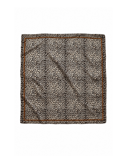 Feline leopard print scarf with a solid brown border