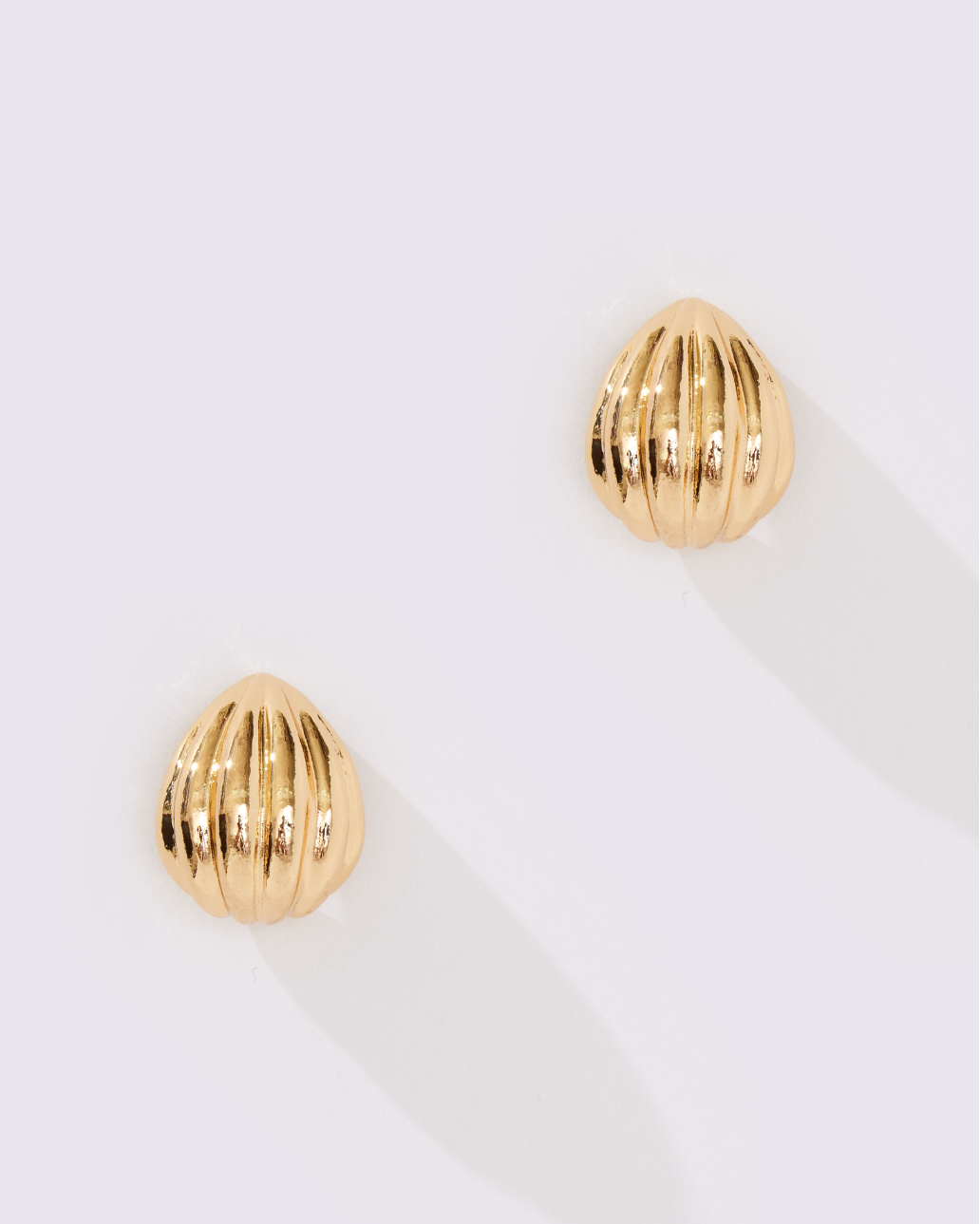 Shell Hoop Earring - 8 Other Reasons