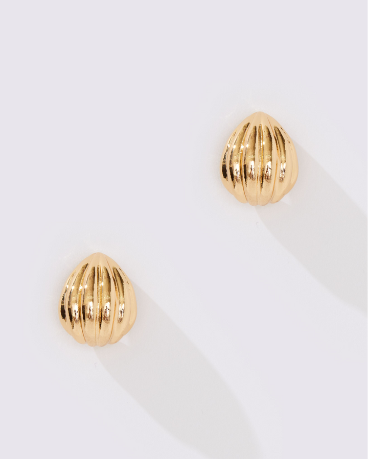 Shell Hoop Earring - 8 Other Reasons